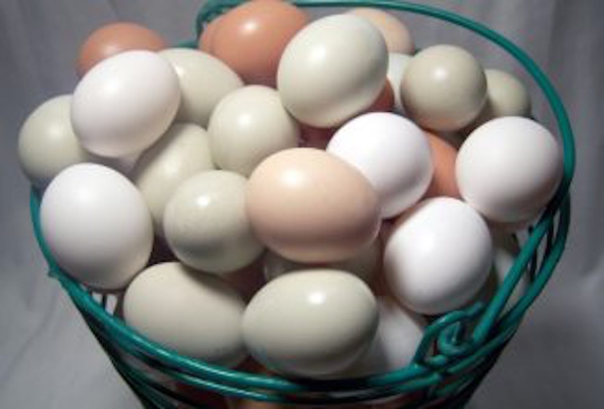 egg basket top 1 326x221 1