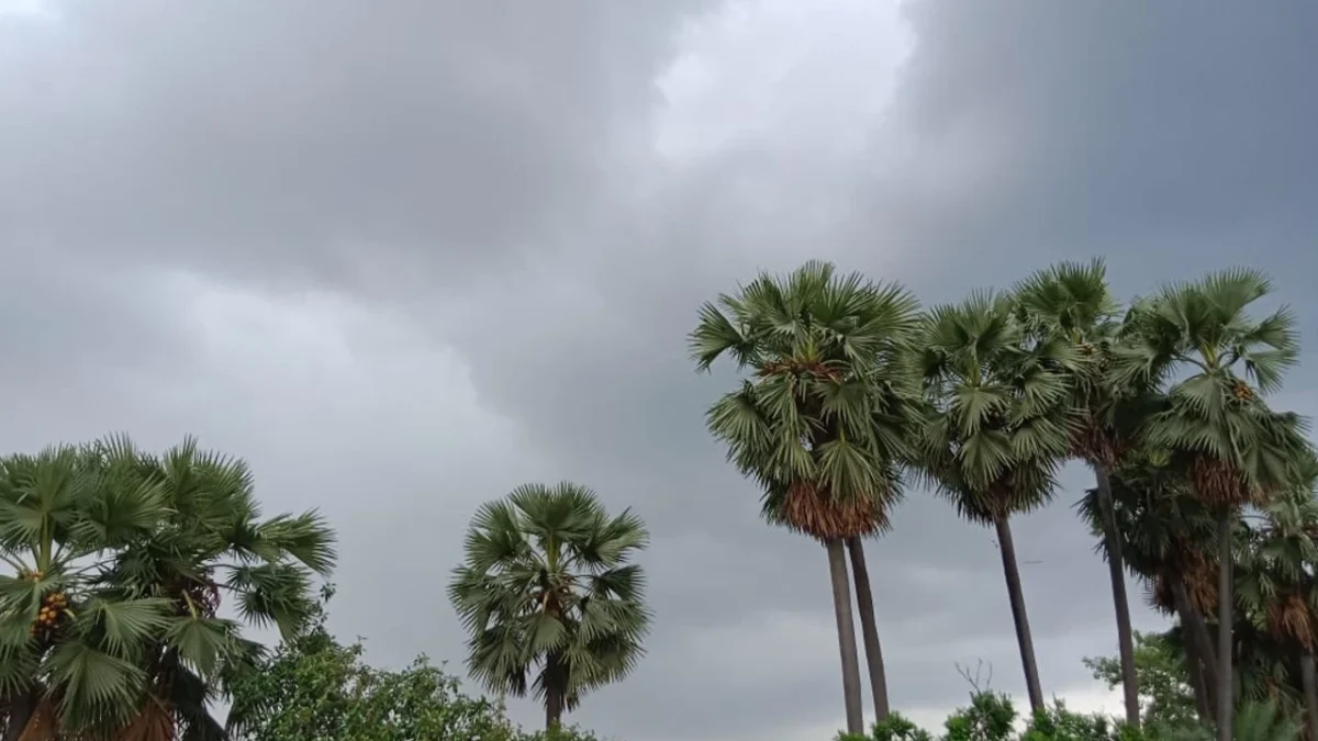 Bihar Weather Today