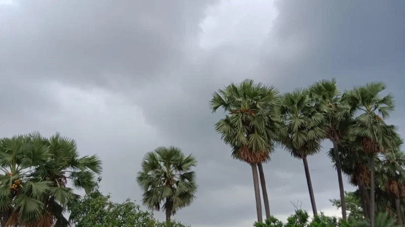 Bihar Weather