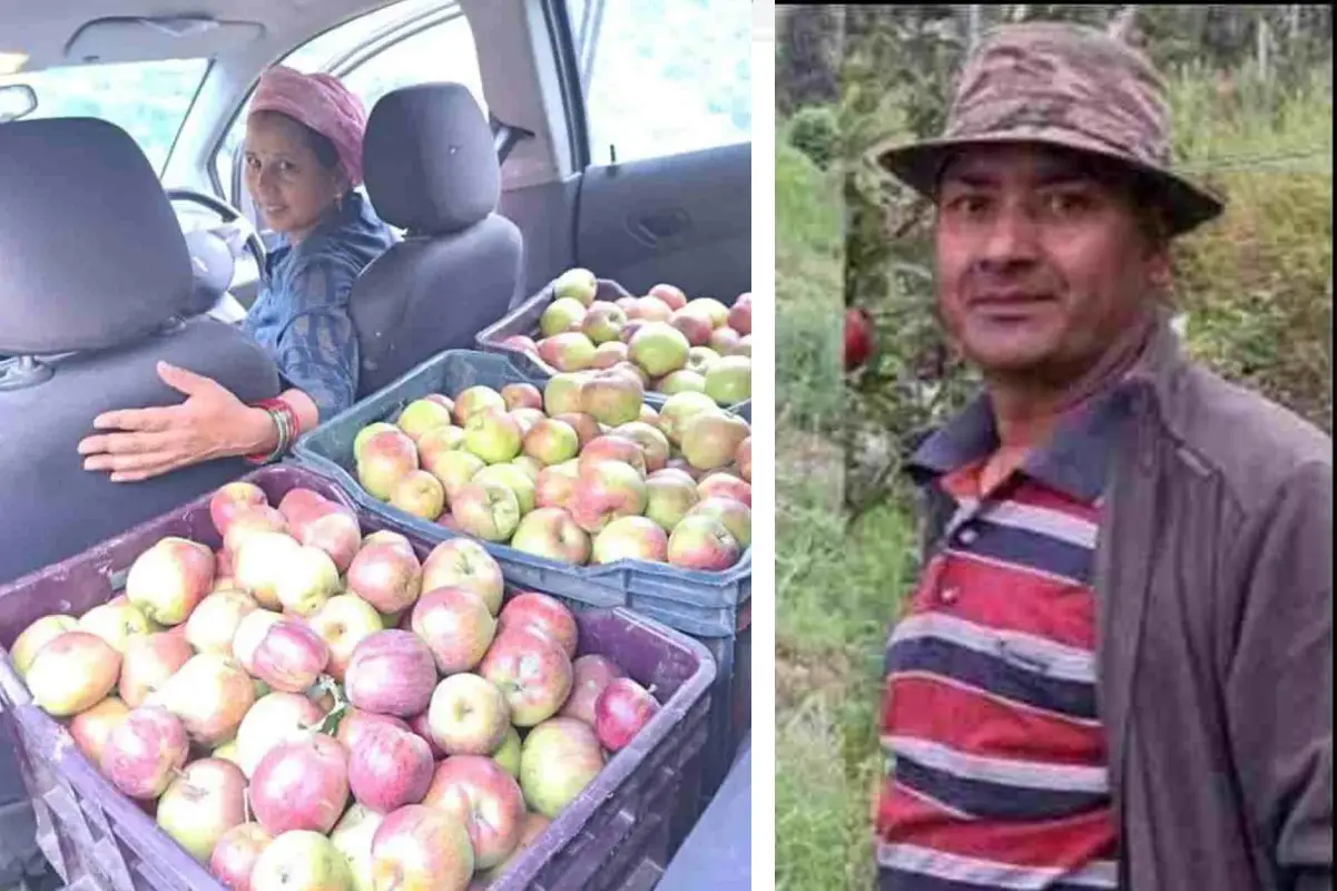 couple ventures into kiwi and apple cultivation