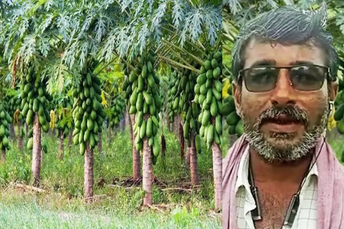 Farmer Bhavram, Jalore