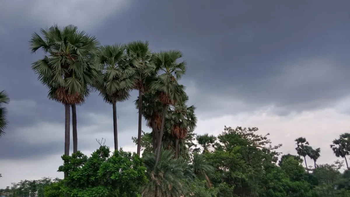 Bihar Weather Update