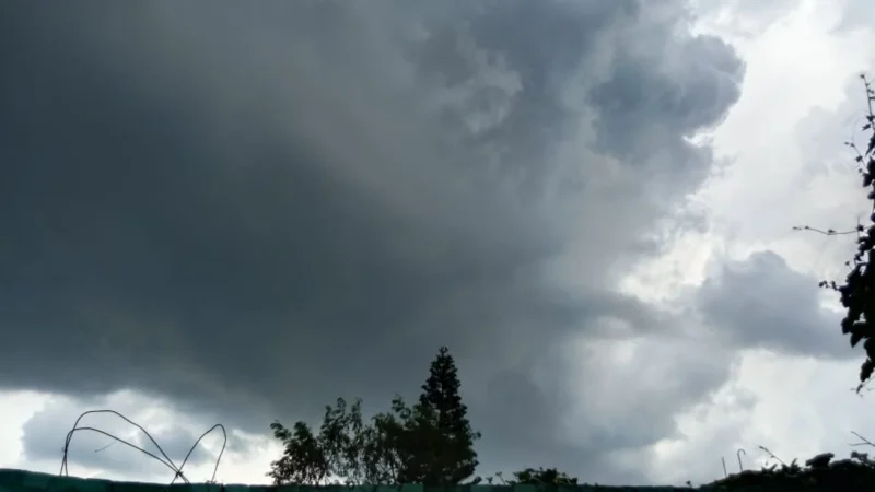 Monsoon active in Bihar