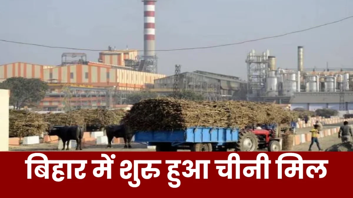 Bihar Sugar Mill